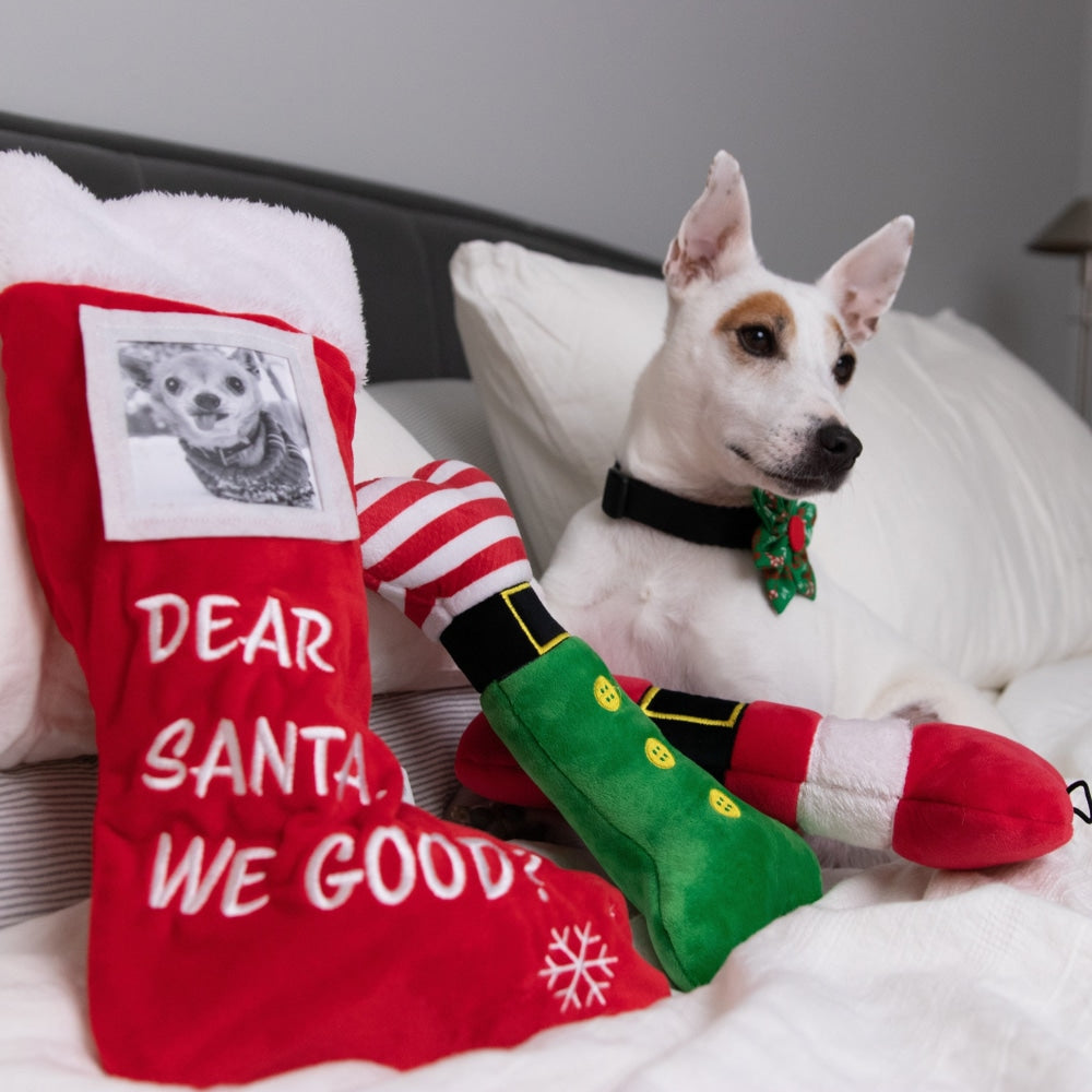 Dear Santa, We Good? Stocking