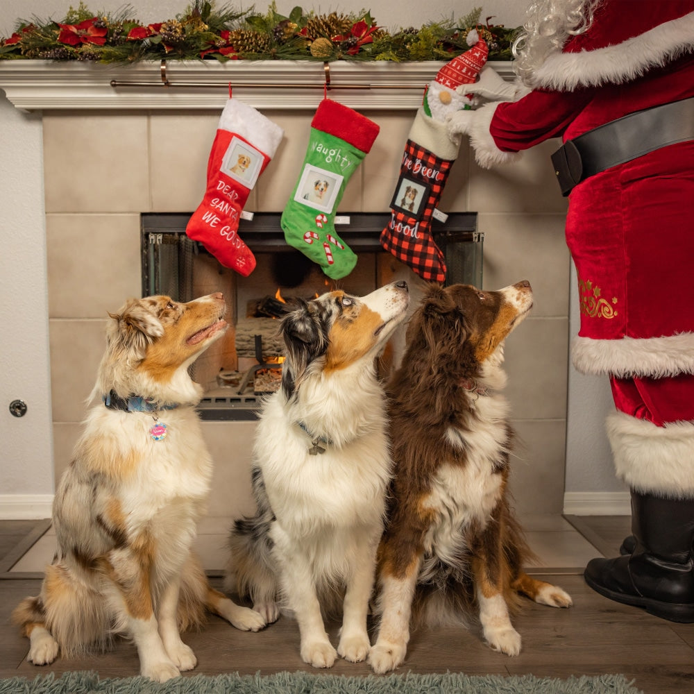Dear Santa, We Good? Stocking