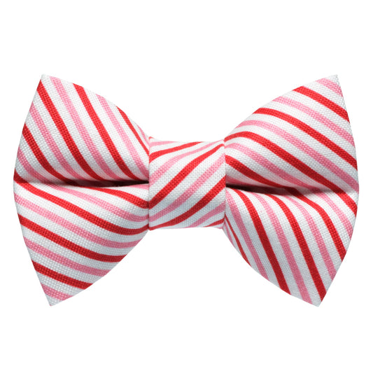 The Made You Look - Bow Tie