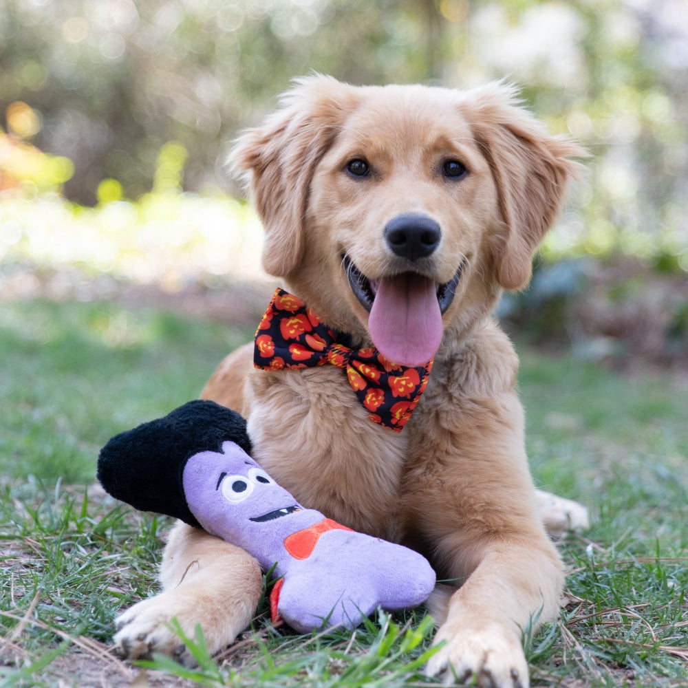 Dracula Bone Dog Toy
