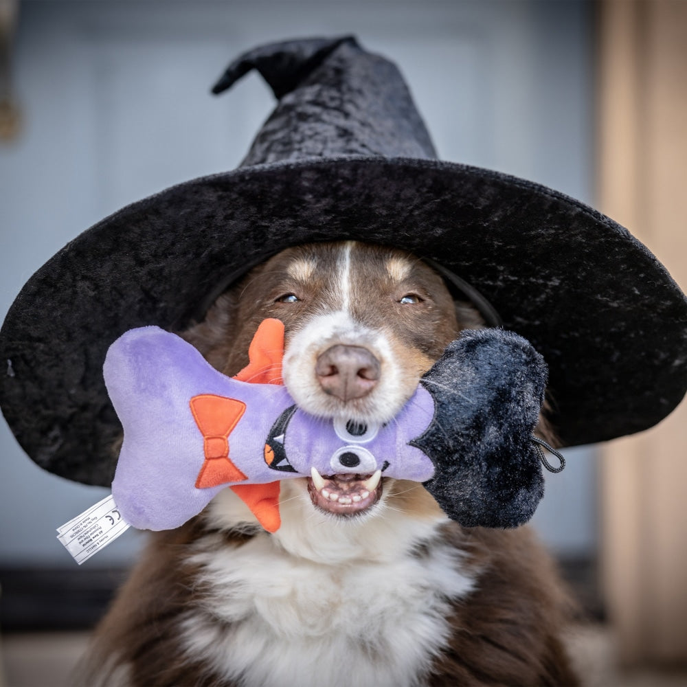 Dracula Bone Dog Toy