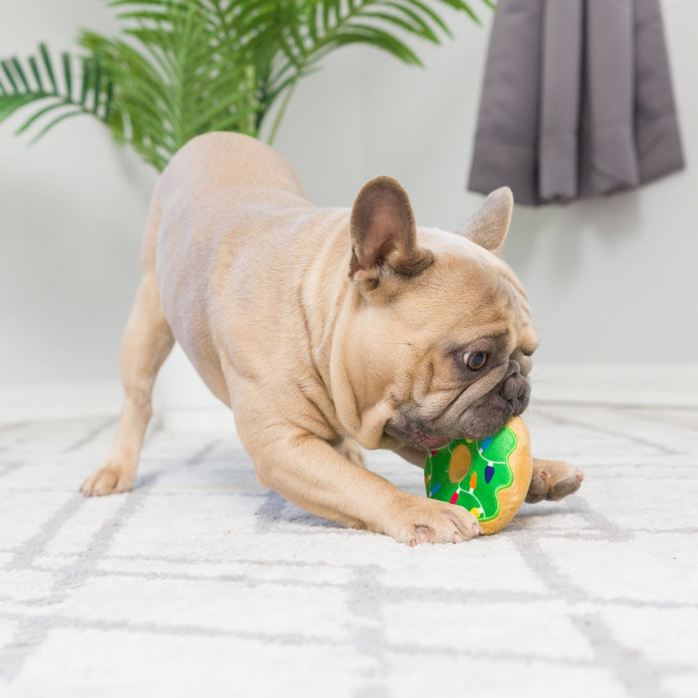 Tiny Tuff Dunk & Crunch 2pk