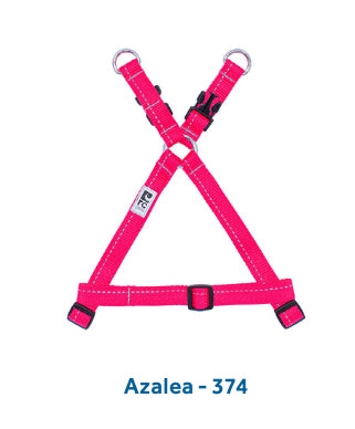 Step in Harness Primary