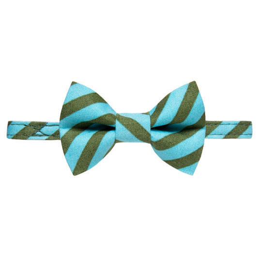 The Editor Collar + Matching Removable Bow Tie