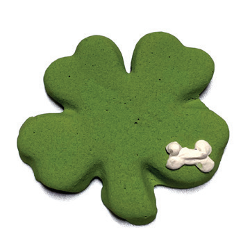 Shamrock (Spring) Case of 12