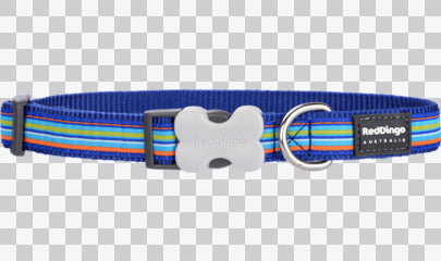 Buckle Bone Dog Collars - Design - Horizontal Stripes