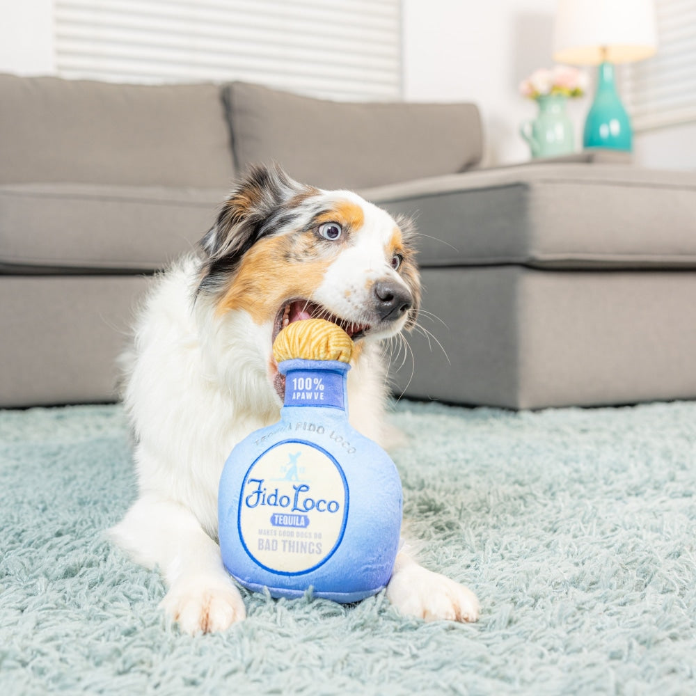 Fido Loco Tequila Dog Toy