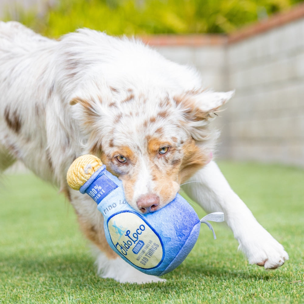 Fido Loco Tequila Dog Toy