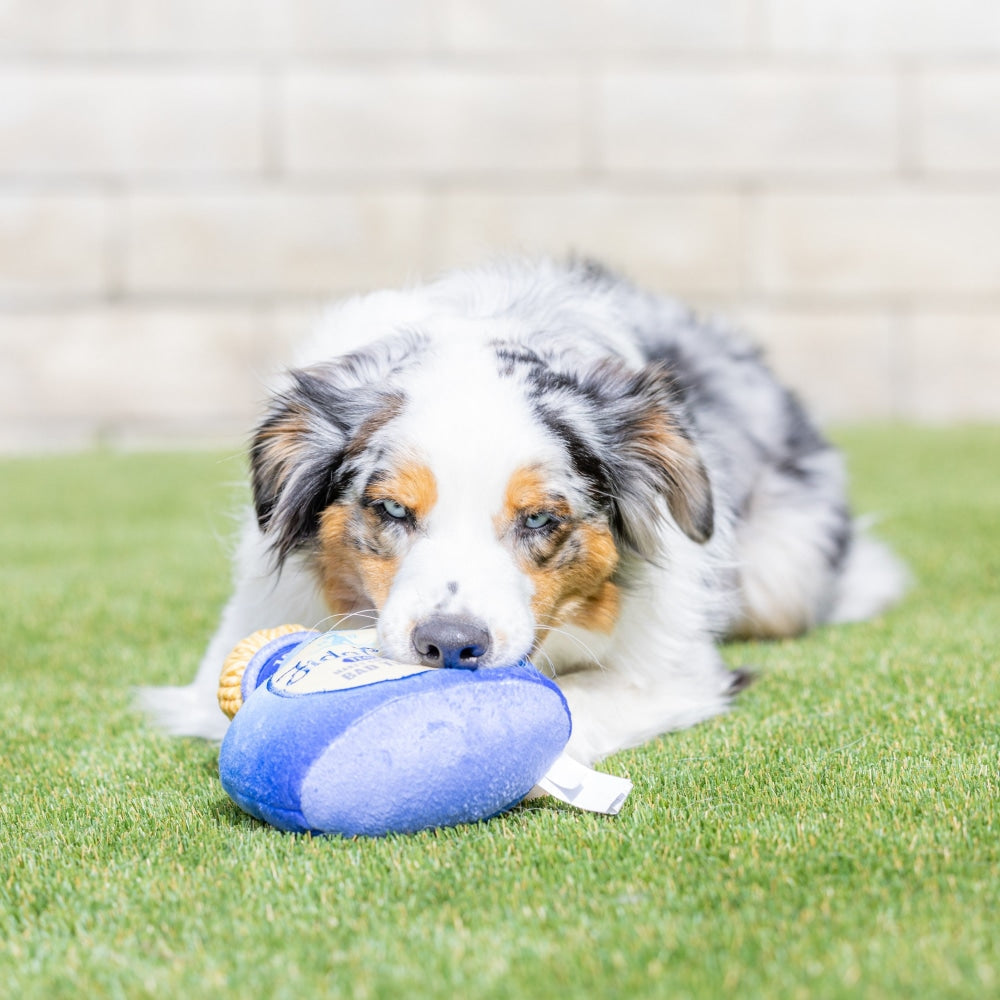 Fido Loco Tequila Dog Toy