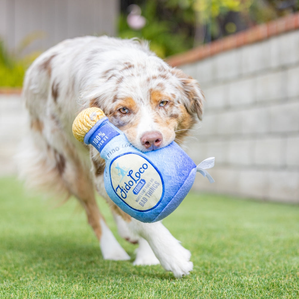 Fido Loco Tequila Dog Toy