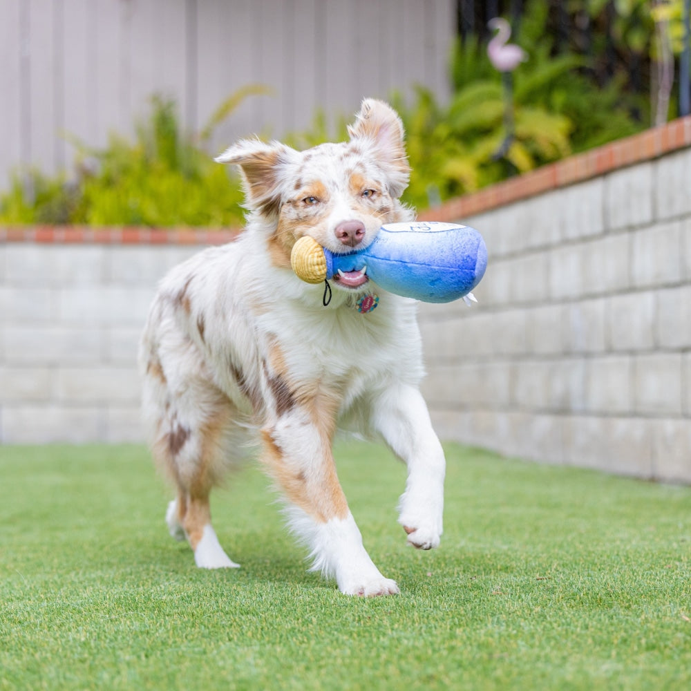 Fido Loco Tequila Dog Toy