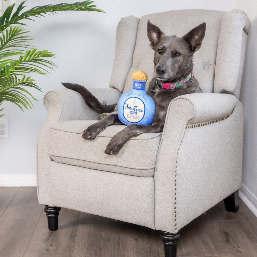 Fido Loco Tequila Dog Toy