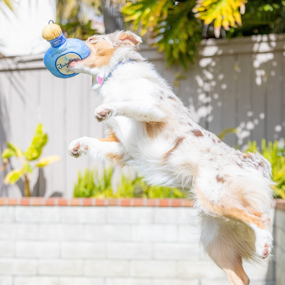 Fido Loco Tequila Dog Toy
