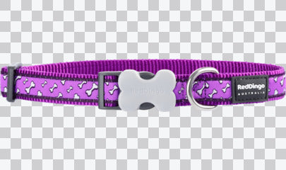 Buckle Bone Dog Collars - Design - Flying Bones