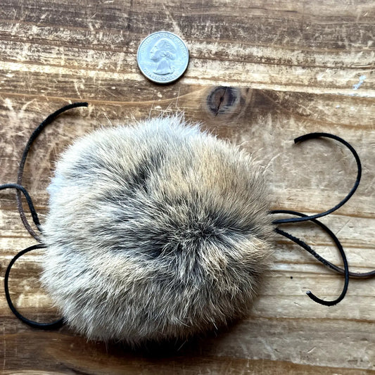 Fur-Whiskers