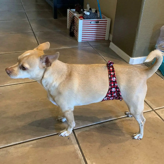 Male Belly Band Wrap
