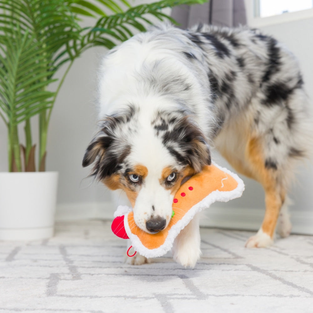 Gingerbread Bone Dog Toy