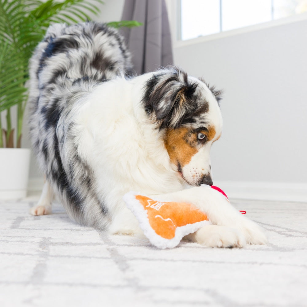 Gingerbread Bone Dog Toy