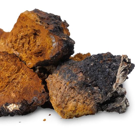 Chaga Root Extract Powder- USDA Organic- 4oz