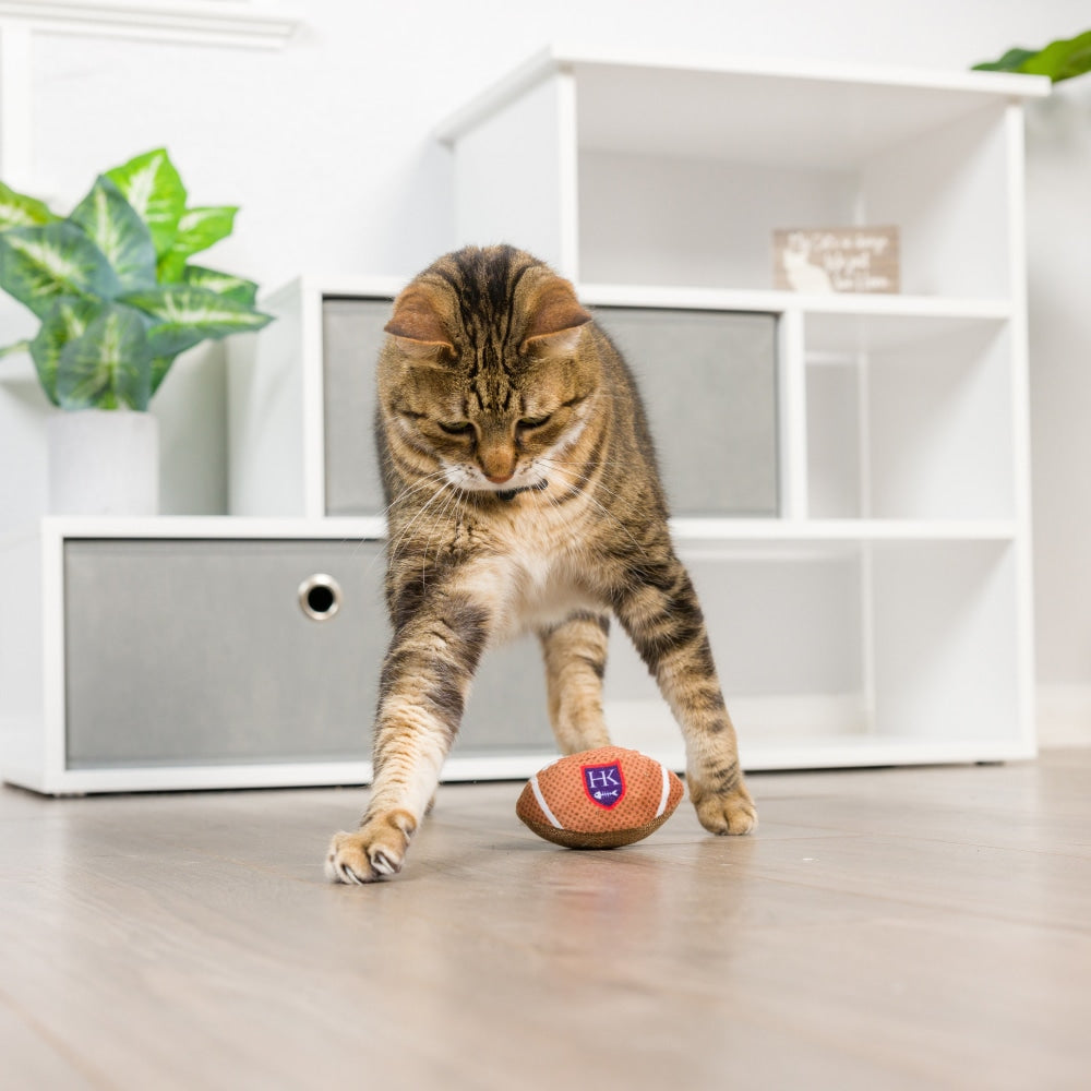 HK Football Cat Toy