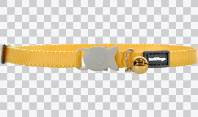 Kitten Collars - Classic