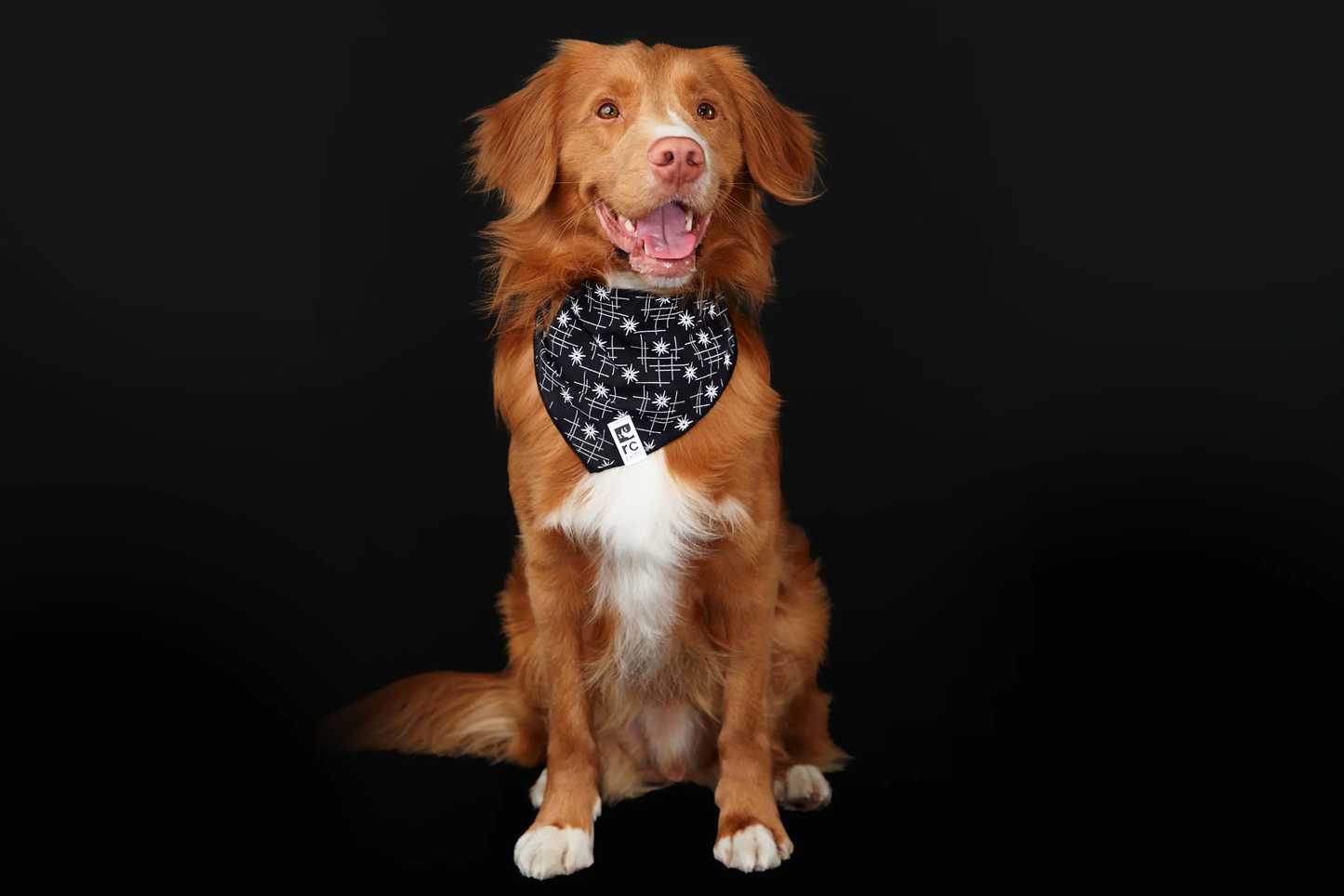 Flare Reflective Bandana