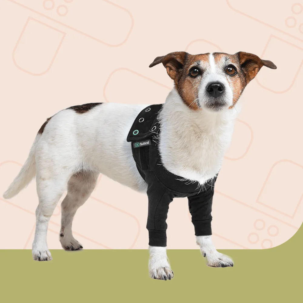 Recovery Front Leg Double Sleeve Dog