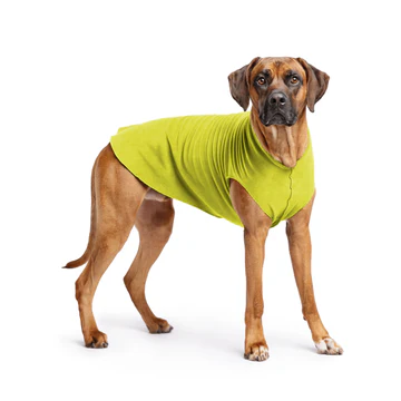 Stretch Fleece- Avocado