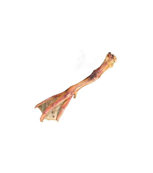 Ancestral Raw Dehydrated Duck Feet