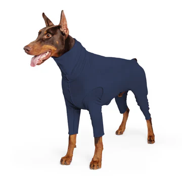 Signature Suit - Navy