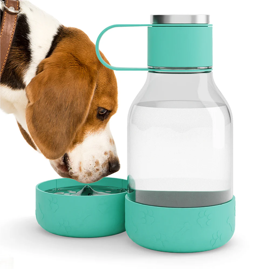 Dog Bowl Bottle Tritan- 50oz