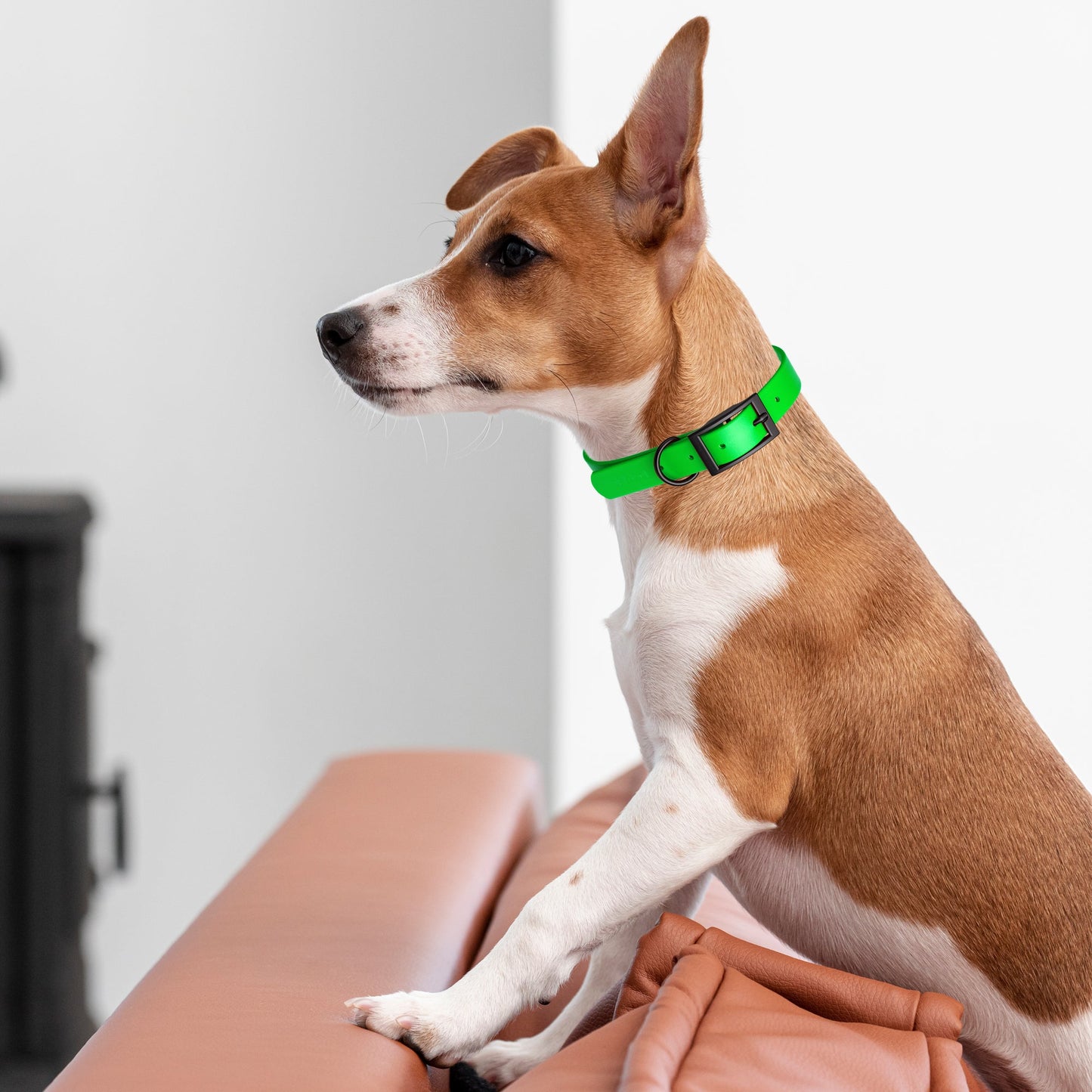 Biothane Waterproof Dog Collar - Wide - XXL (24 to 28 inches)