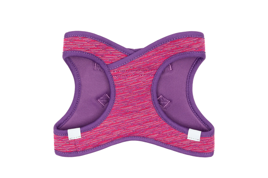 Purple and pink dog harness with white labels