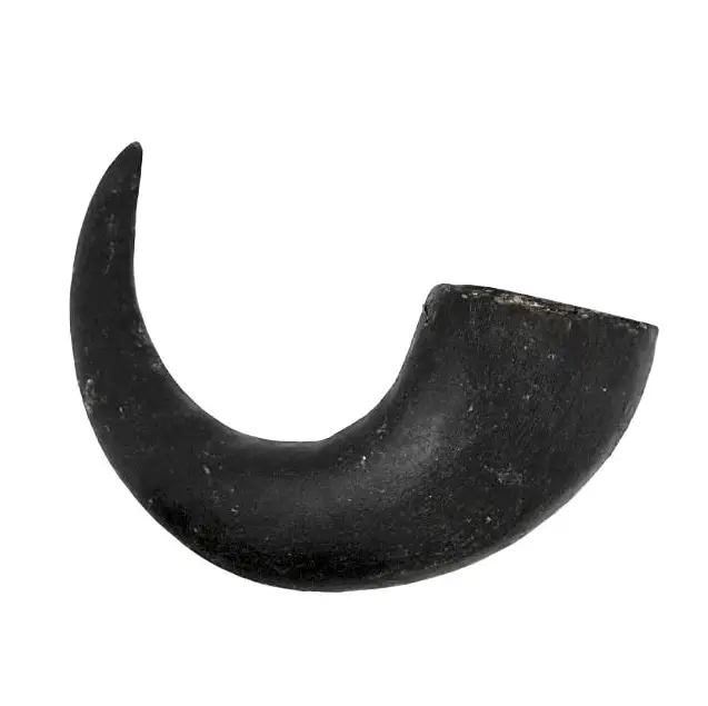WATER BUFFALO HORNS- PACKS OF 10