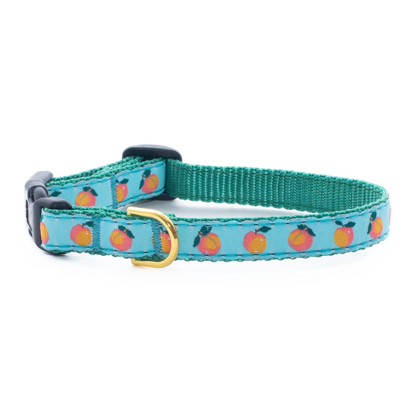 Peachy Small Breed Dog Collar