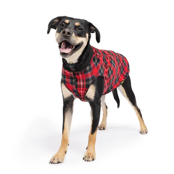 Duluth Double Fleece - Red Plaid/Black