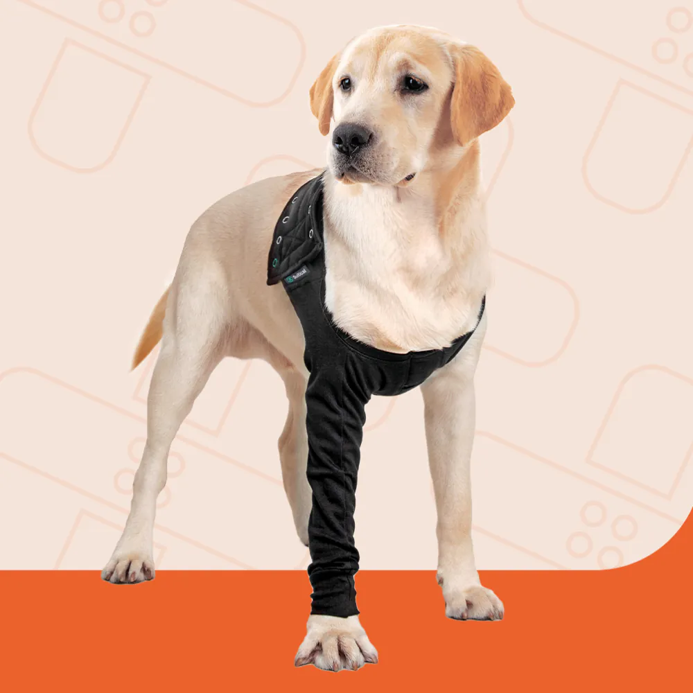 Recovery Front Leg Single Sleeve Dog