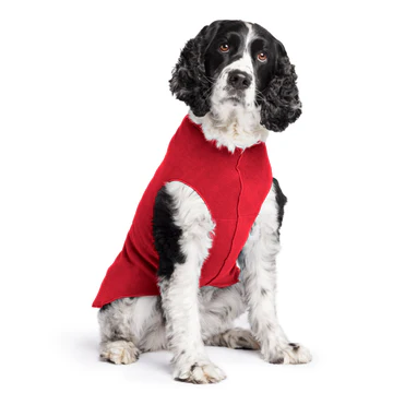 Stretch Fleece - Red