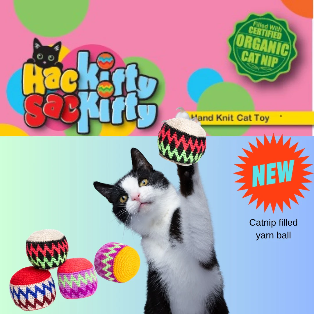 Black and white cat playing with Chilly Dog Cat Toys, a hand-knit catnip-filled yarn ball