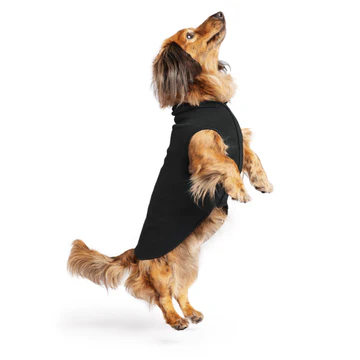 Stretch Fleece - Black