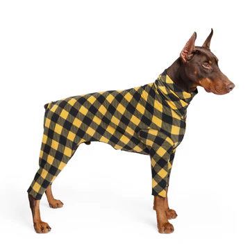 Signature Suit - Gold Buffalo Check