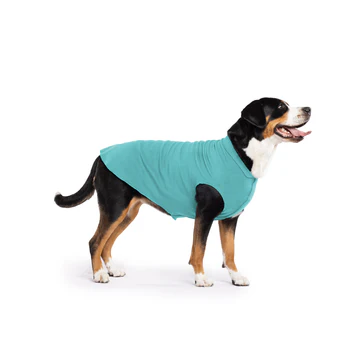 Stretch Fleece - Turquoise