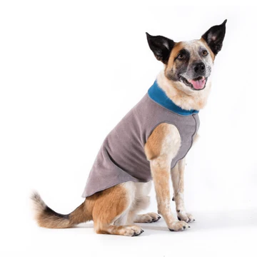 Duluth Double Fleece - Charcoal/Marine
