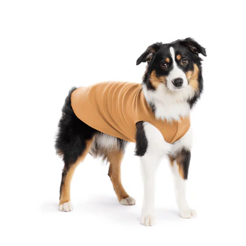 Stretch Fleece - Chipmunk