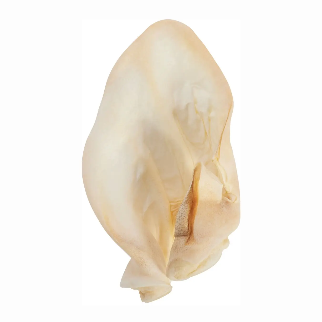 COW EARS -PACK OF 10