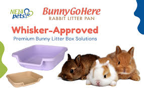 BunnyGoHere- Rabbit Litter Box