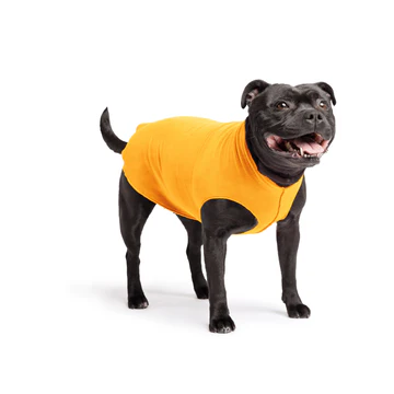 Stretch Fleece - Cheddar