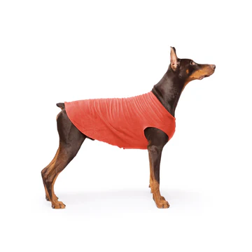 Stretch Fleece - Paprika
