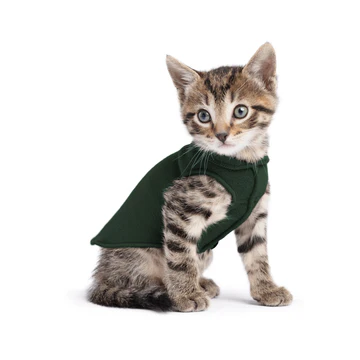 Stretch Fleece - Hunter Green