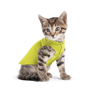 Stretch Fleece- Avocado
